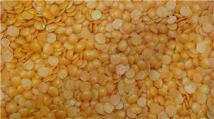 Masoor Dal (Split)