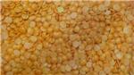 Masoor Dal (Split)