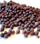 Indian Black Mustard Seed (Large)
