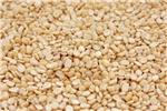Urad Dal FAQ