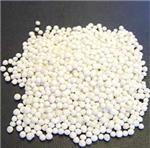 Sago Seeds