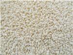 Hulled Sesame Seeds
