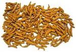 Indian Turmeric